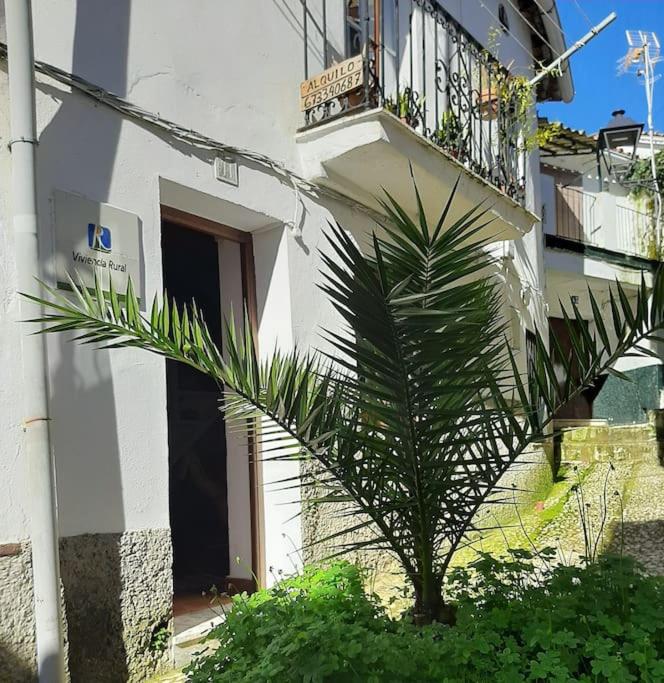 La Casa Chica de Luis photo 1