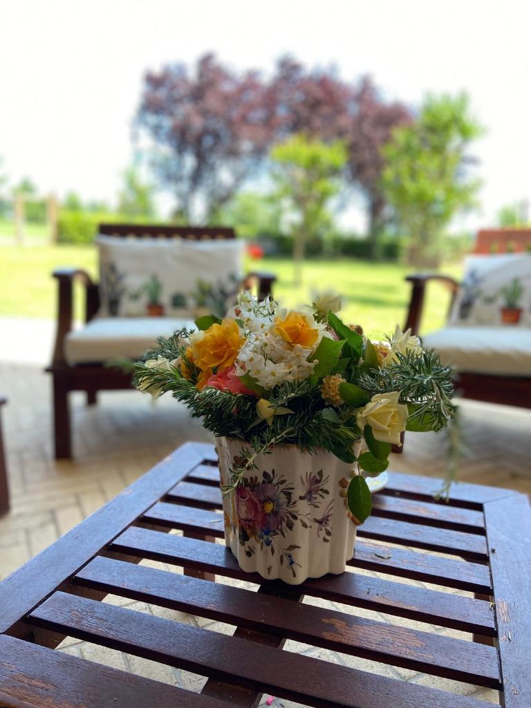 Lemon tree suite al golf photo 2