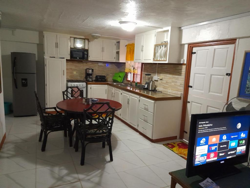 Alexander's Apartment Carriacou photo 2