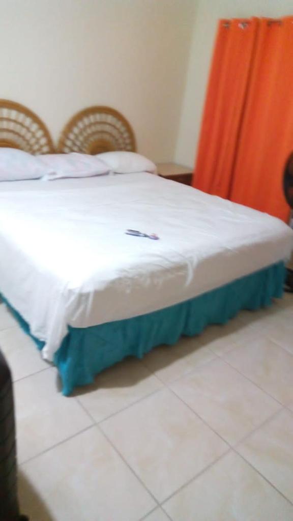 Alexander's Apartment Carriacou photo 4