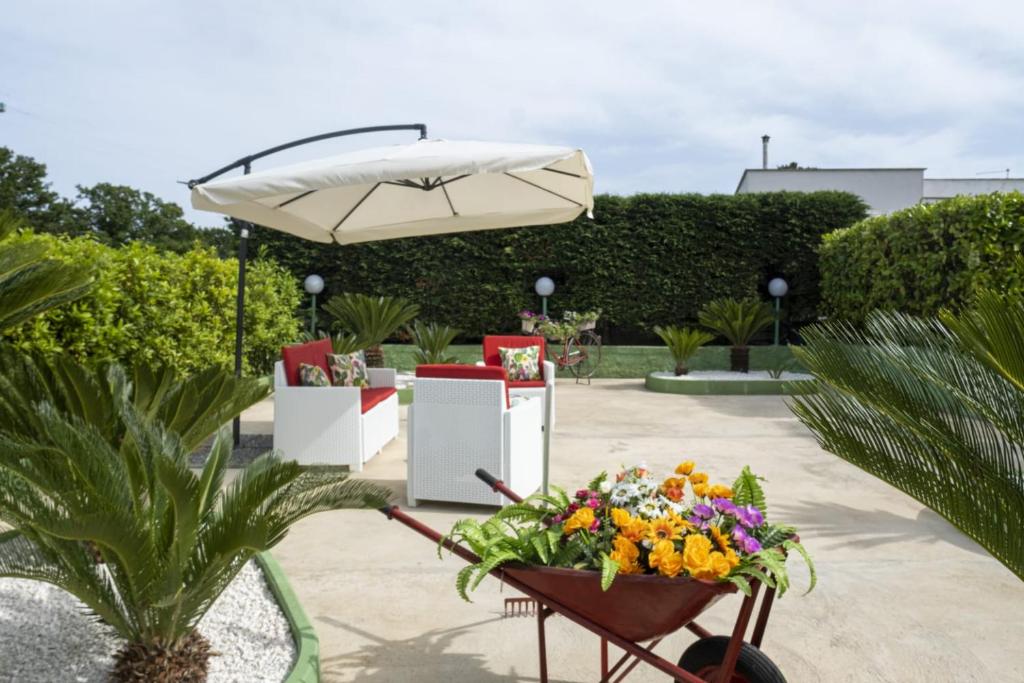 Villa Elisa