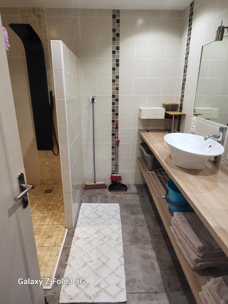 Appartement St cyprien plage 66750 photo 4