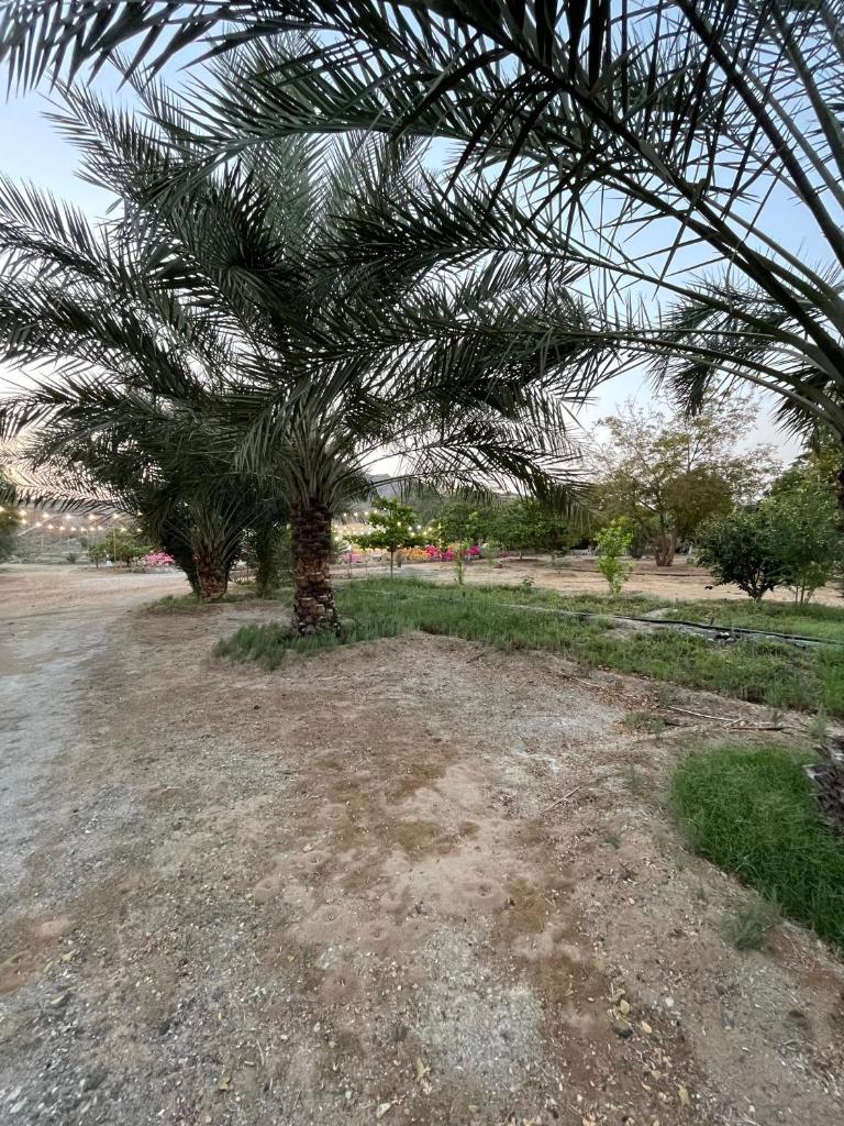 Wadi Alsidra photo 2