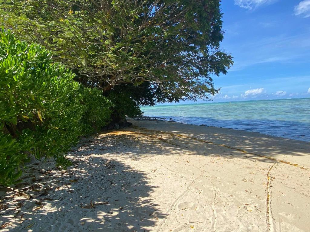 MOOREA - Fare Tiki Beach photo 3
