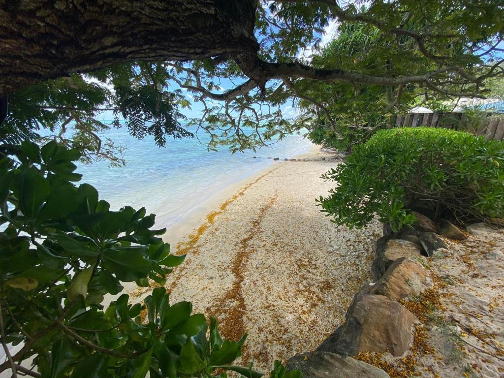 MOOREA - Fare Tiki Beach photo 1