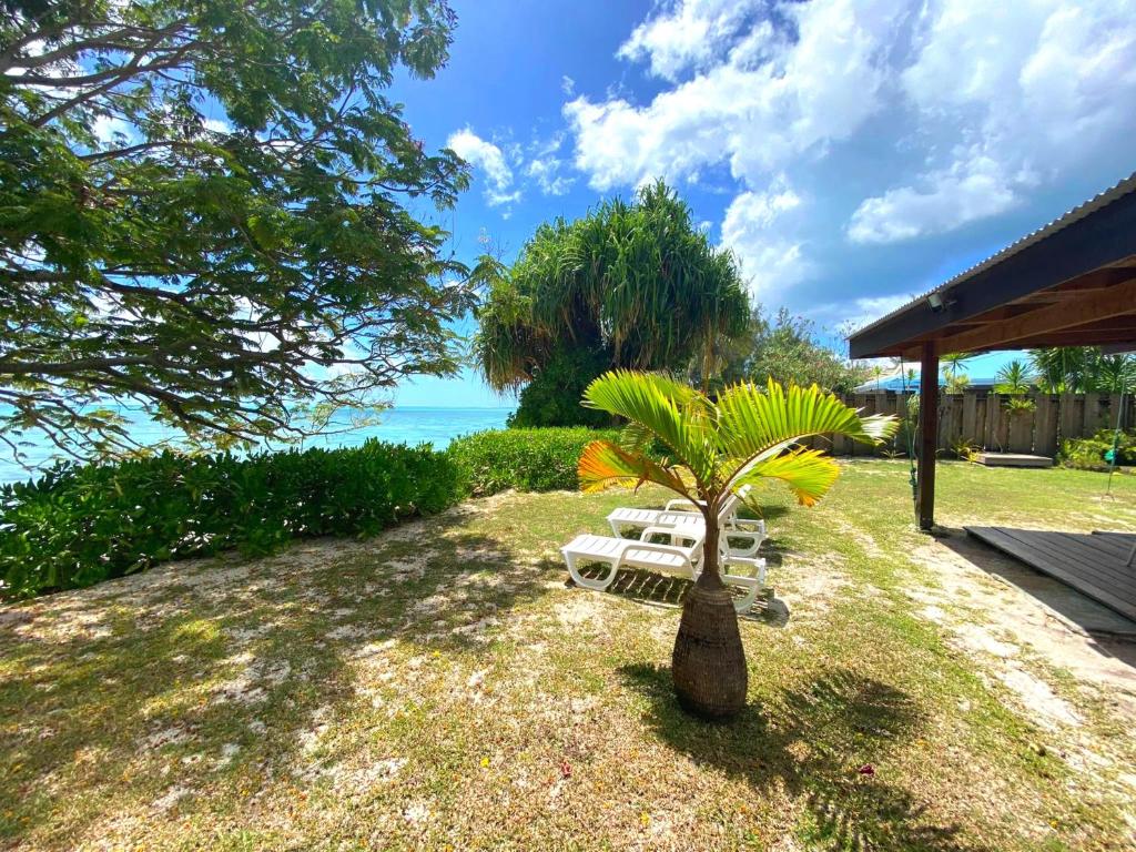 MOOREA - Fare Tiki Beach photo 4