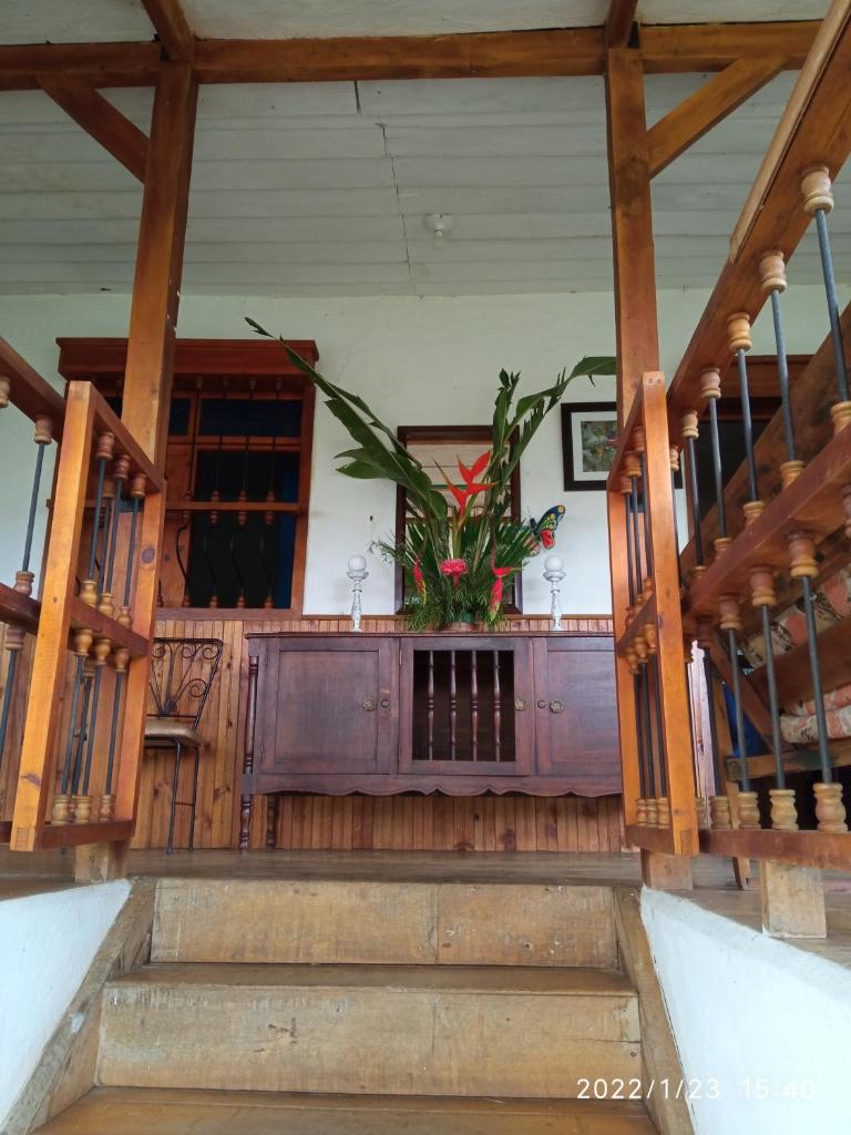 Ágora Manantial photo 2
