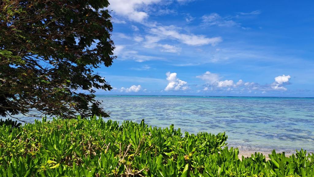 MOOREA - Fare Tiki Beach