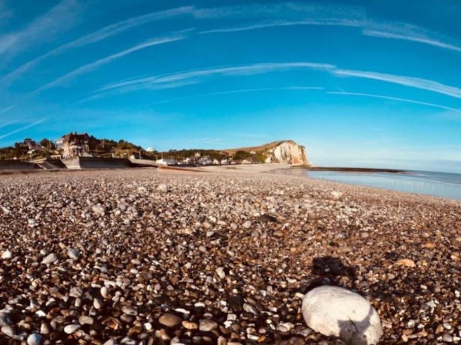 vue sur Mer " VILLA DES MOUETTES " les pieds dans l eau photo 4