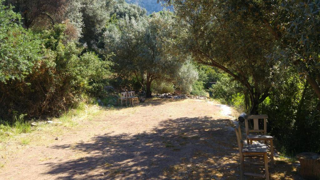 Shiva Camp photo 1