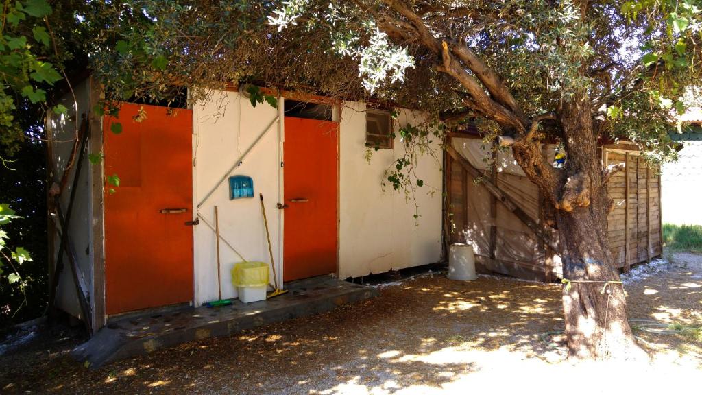 Shiva Camp photo 2