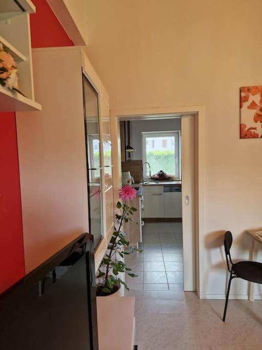 Ferienwohnung Bayernbrise photo 2
