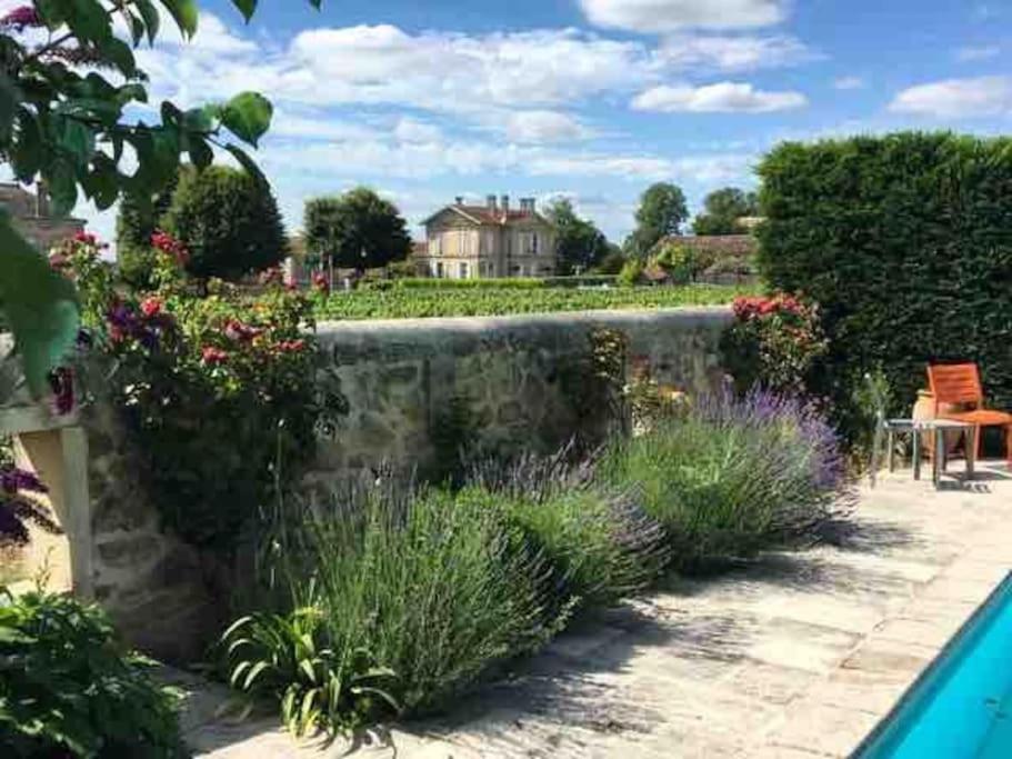Studio with AC, pool & garden, 2km St Emilion photo 4