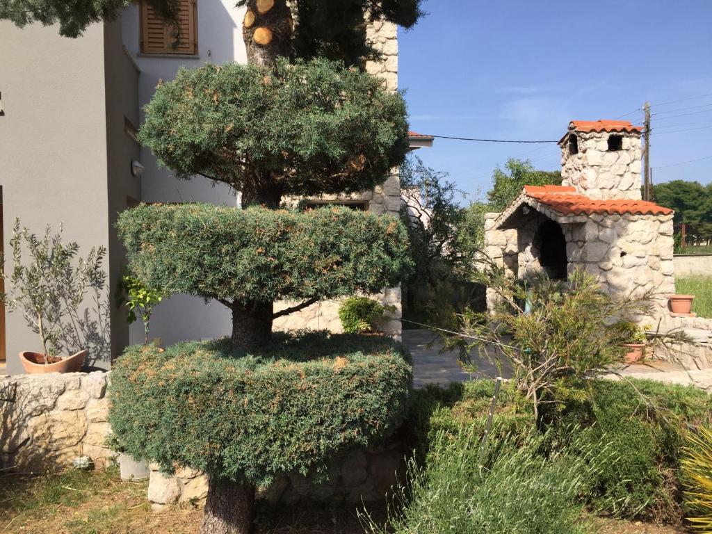 Apartments Smiljanic photo 3