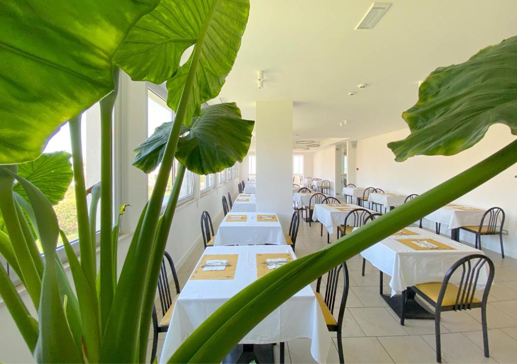 Hotel Sayonara photo 4
