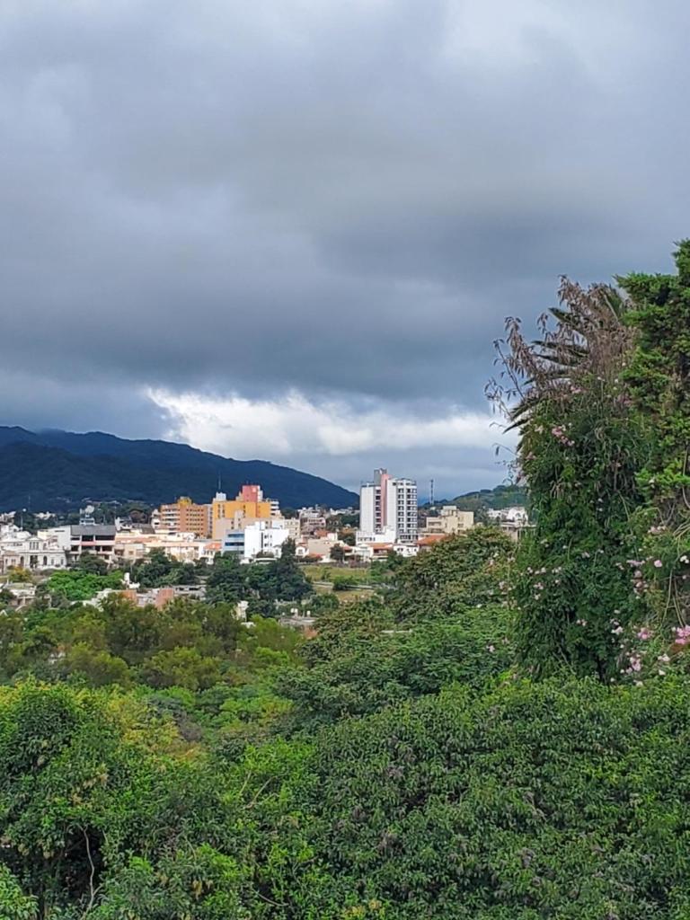 Lo de Vega photo 4