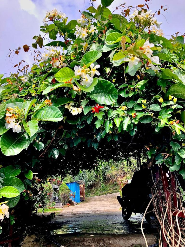 New Araniko Resort (P) Ltd photo 3