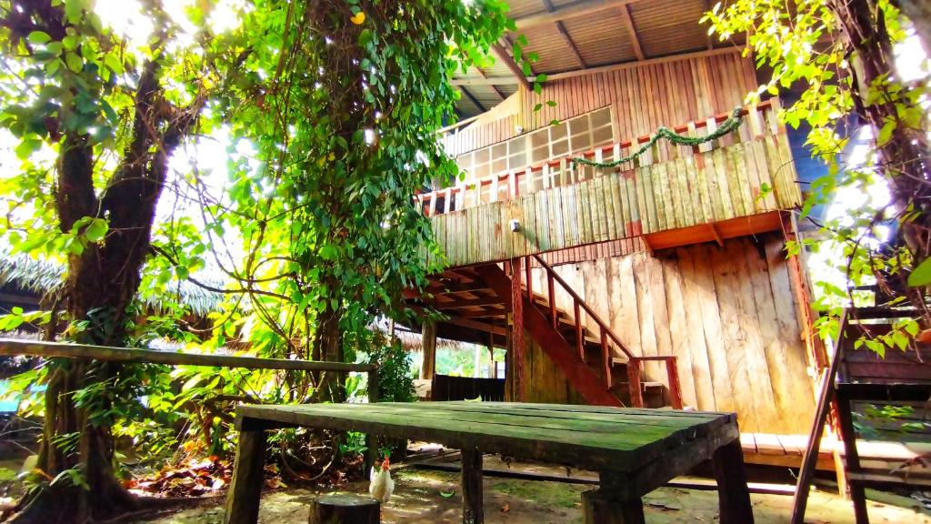Hospedaje y tours Reina Arriera amazonas colombia photo 3