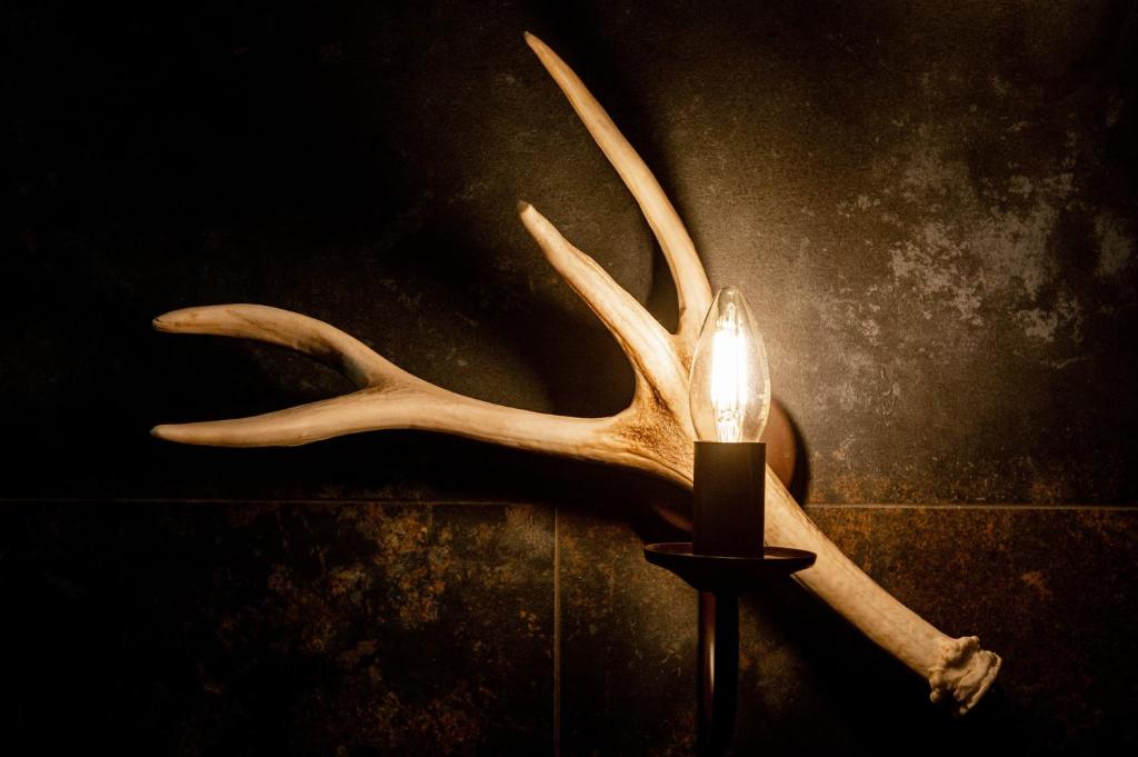 Ku Dolinie photo 4