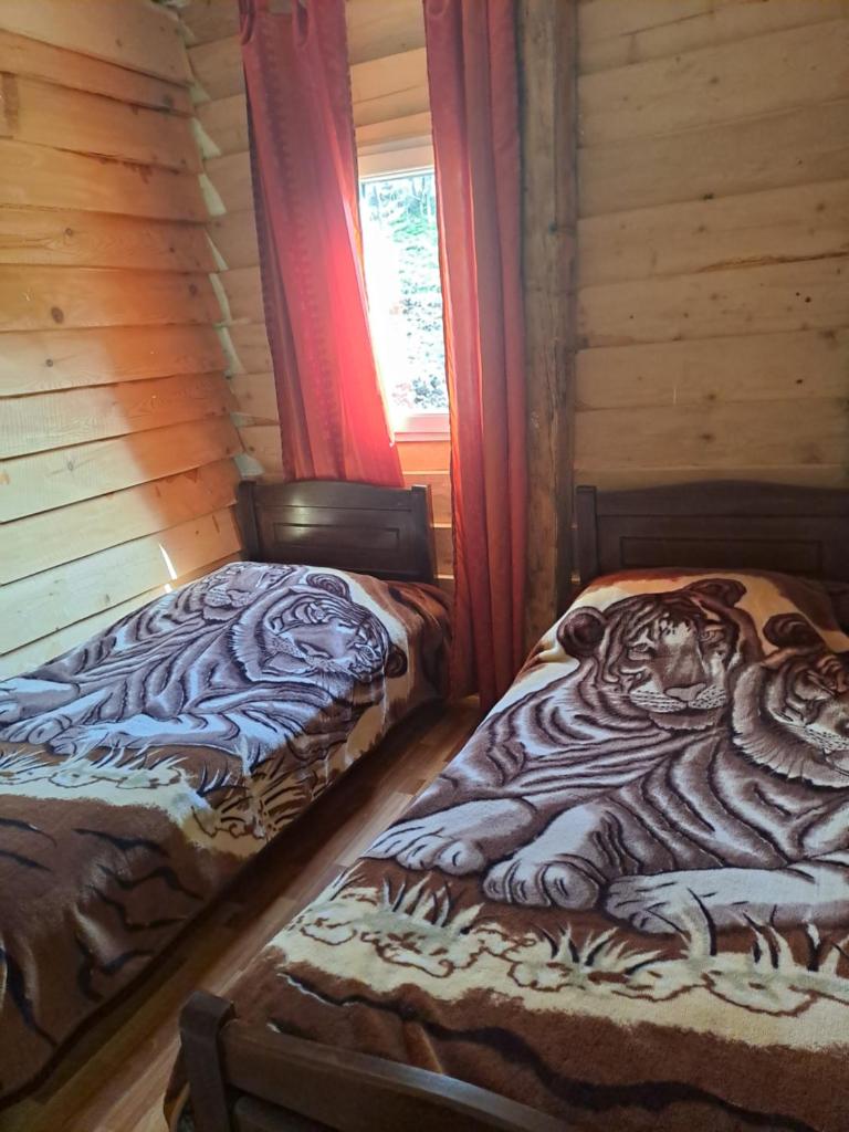 Sweet home photo 2