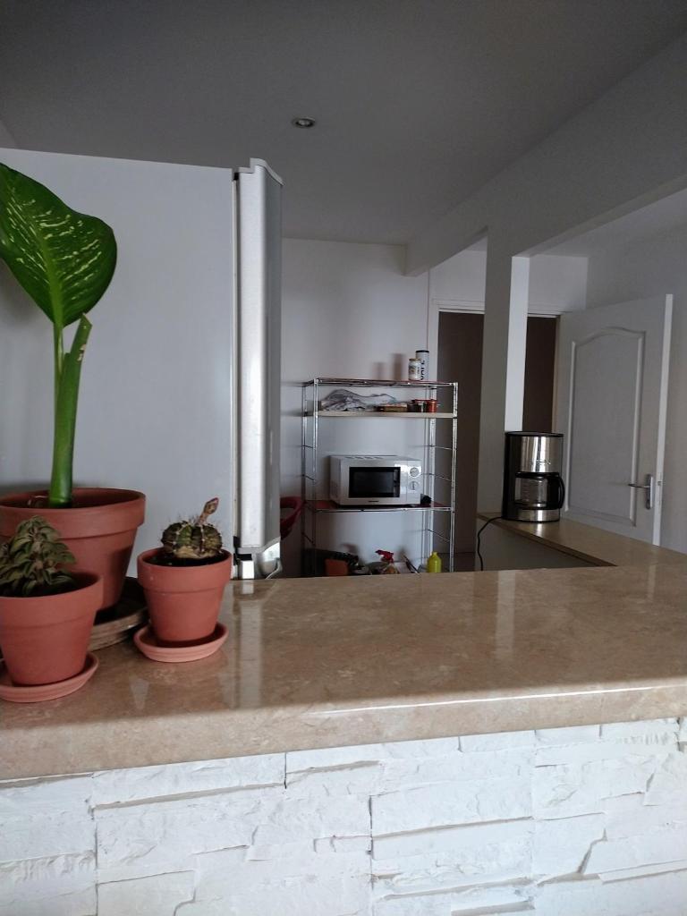 La maison zen photo 4