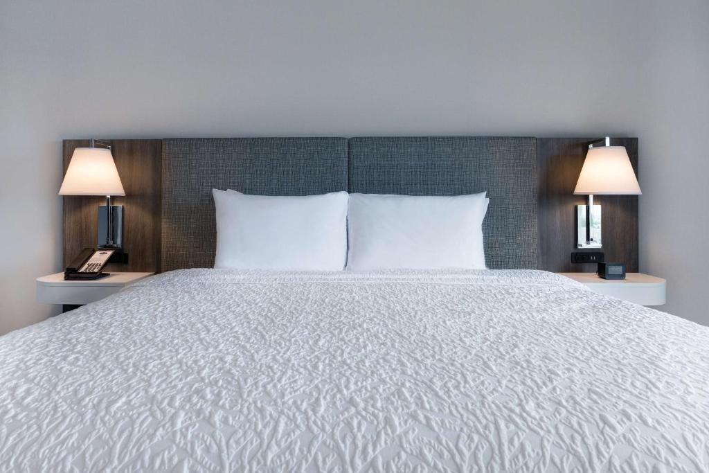 Hampton Inn & Suites by Hilton Burlington Toronto Room Type - King Room with Sofa Bed - Non-Smoking