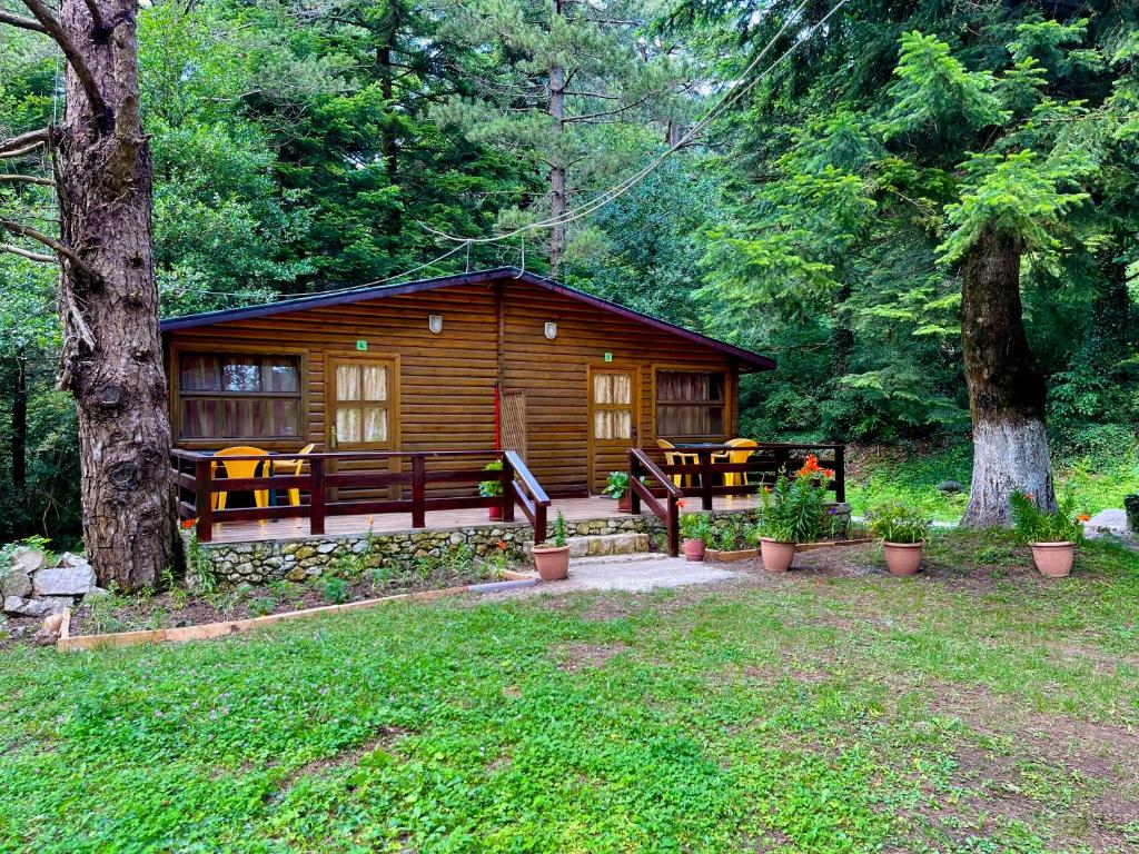 Uji i Panjes Llogara photo 1