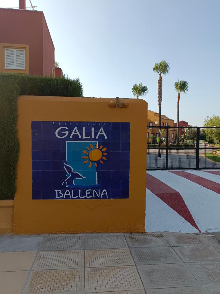Galia Costa Ballena photo 4