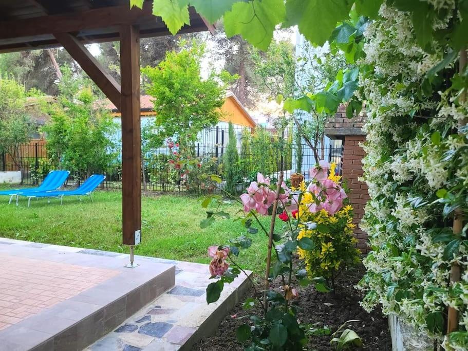 Seaside Cottage with Garden photo 1