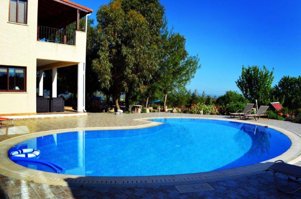 5 bedrooms house with private pool enclosed garden and wifi at Paphos photo 1