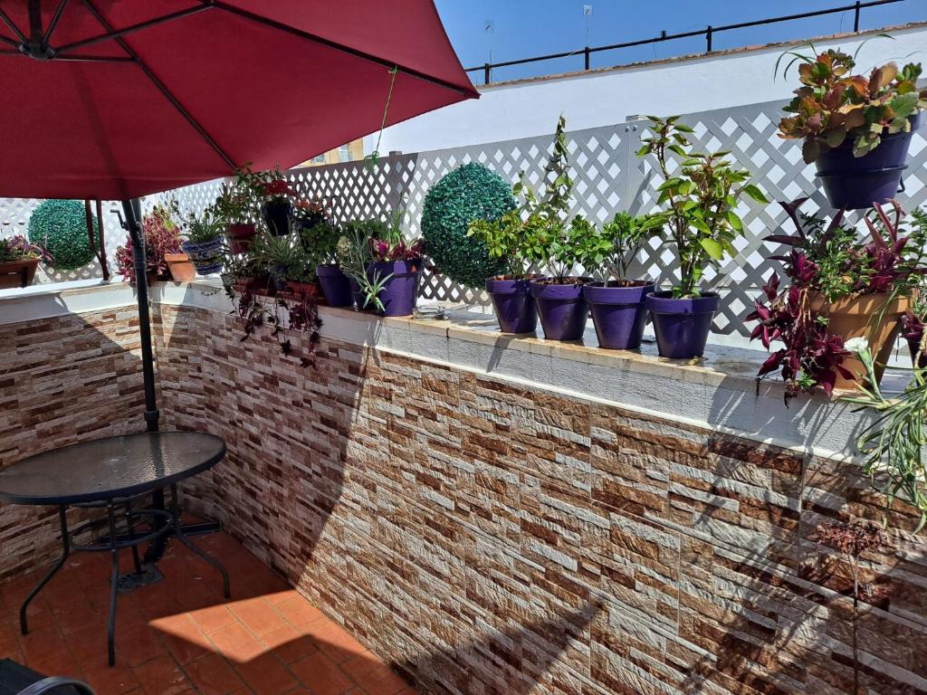 Atico Duplex Marques de Reyes photo 4