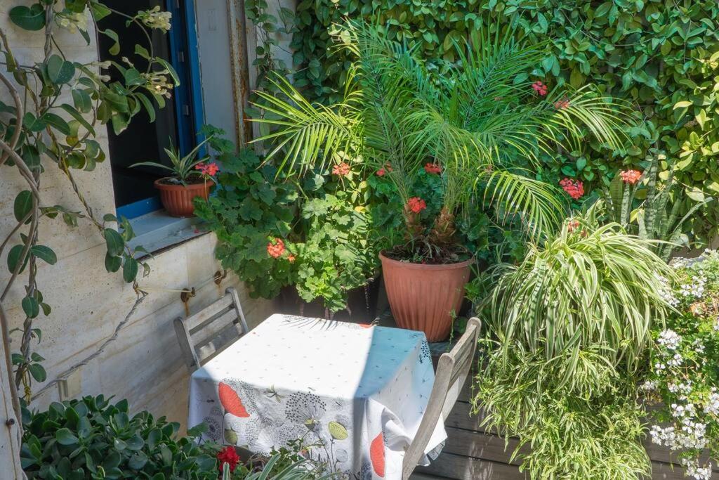 50 meters from the Sea, Ashkelon photo 1