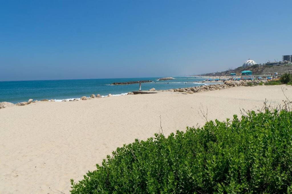 50 meters from the Sea, Ashkelon photo 3