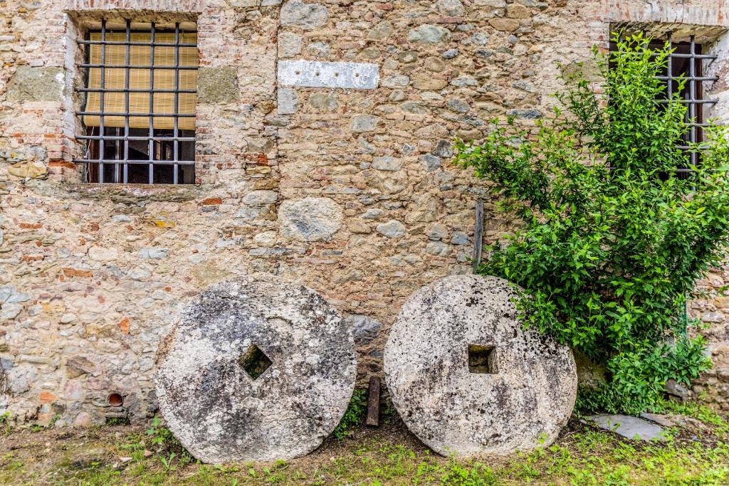 Frantoio Del Moscatello photo 4