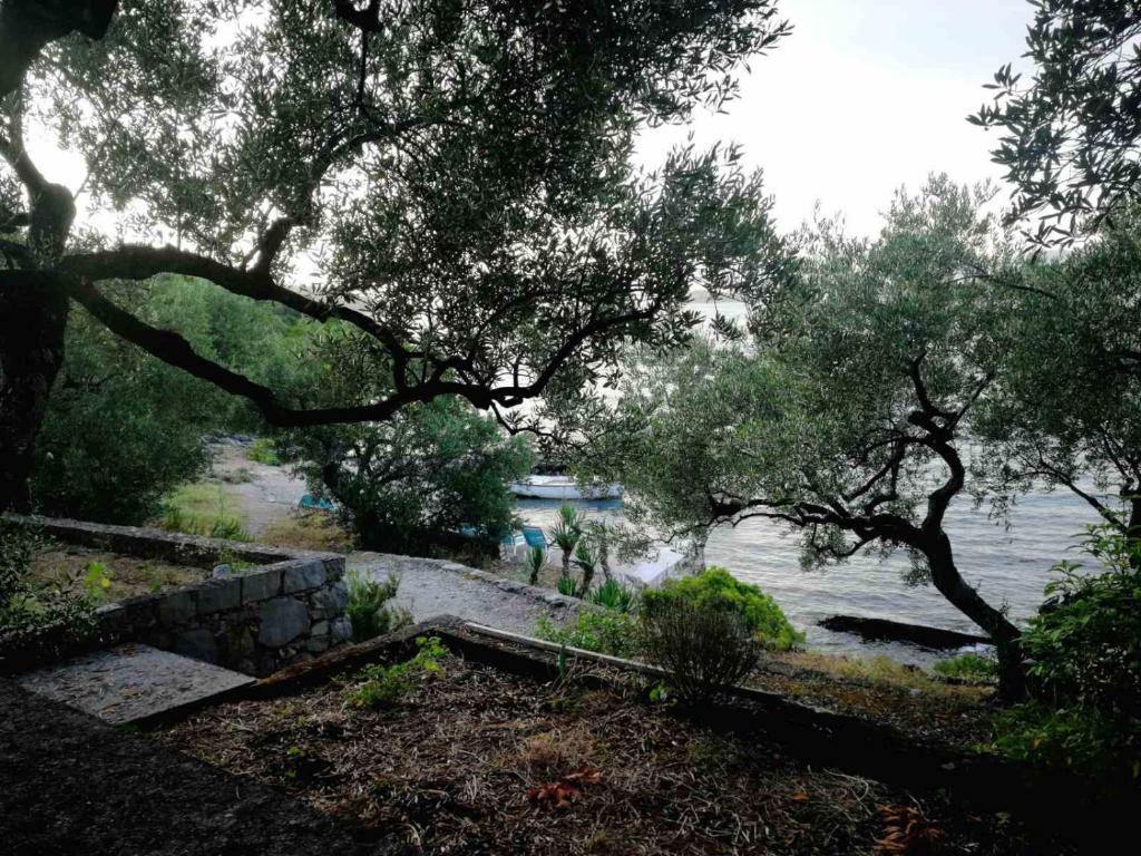 Beach House Olea photo 2