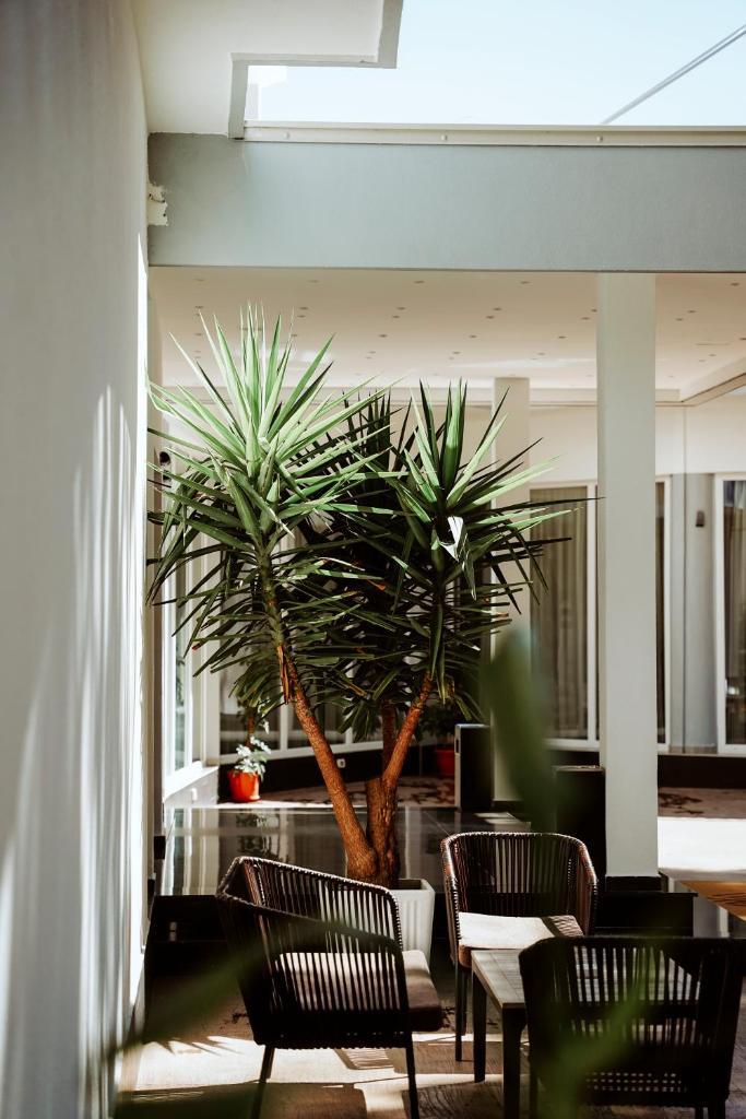 Atrium Deluxe Resort photo 4