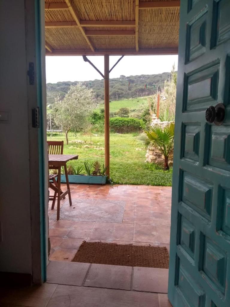 Casita La Raiz photo 2