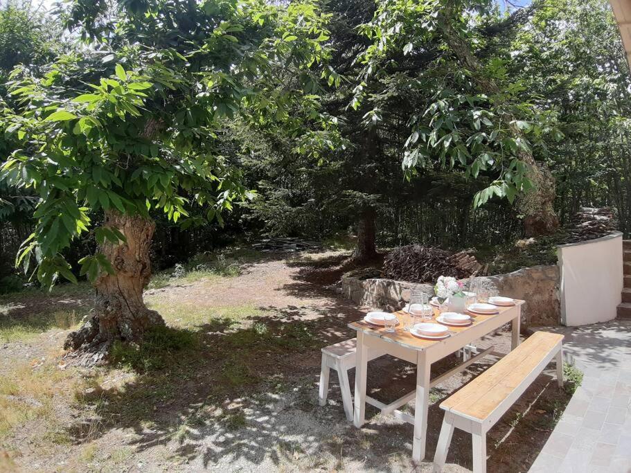 Casa del Castagno: un nido nel castagneto photo 4