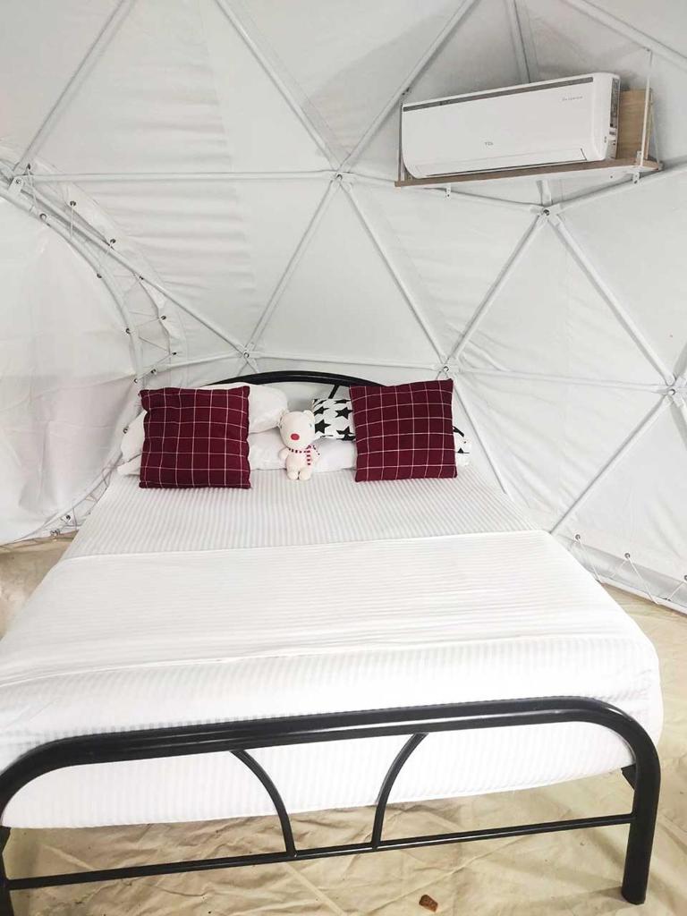 Eco Glamping Treehouses Closest Resort To All Tourist Attractions photo 3
