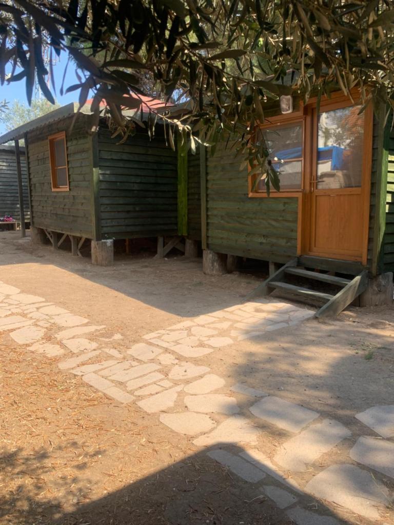 Pina bungalov restaurant photo 3