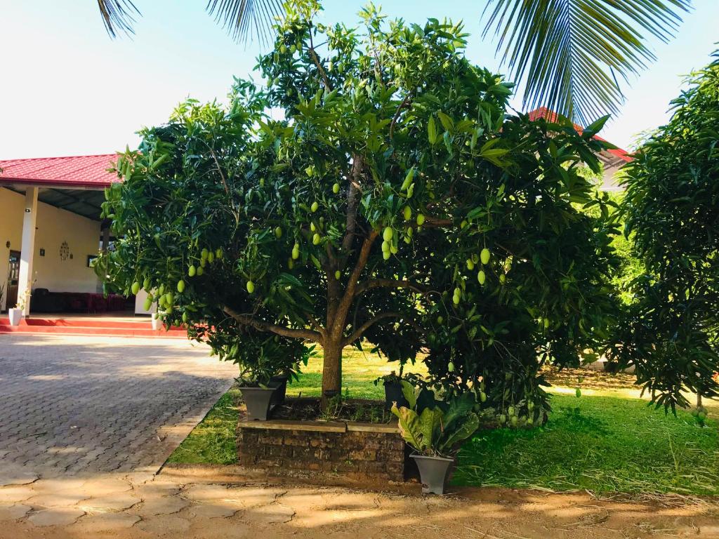 Rivonway Hotel Polonnaruwa photo 4