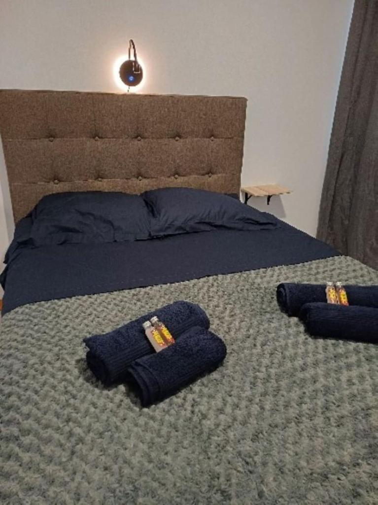 "Hibiscus" city center room