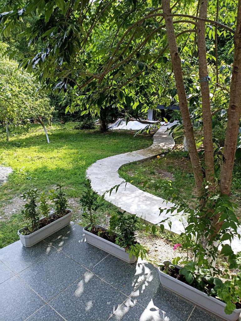 Forest house photo 1