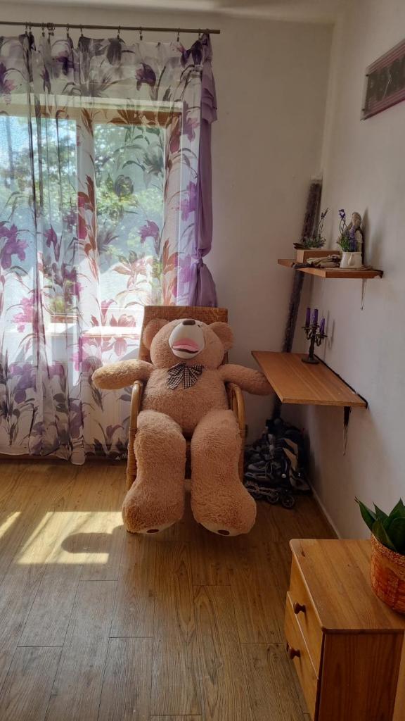 Brīvdienu māja Koknesē photo 4