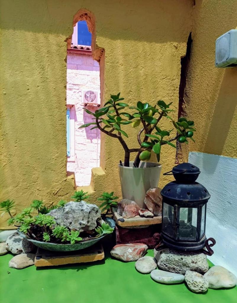Beautiful Vintage House photo 3