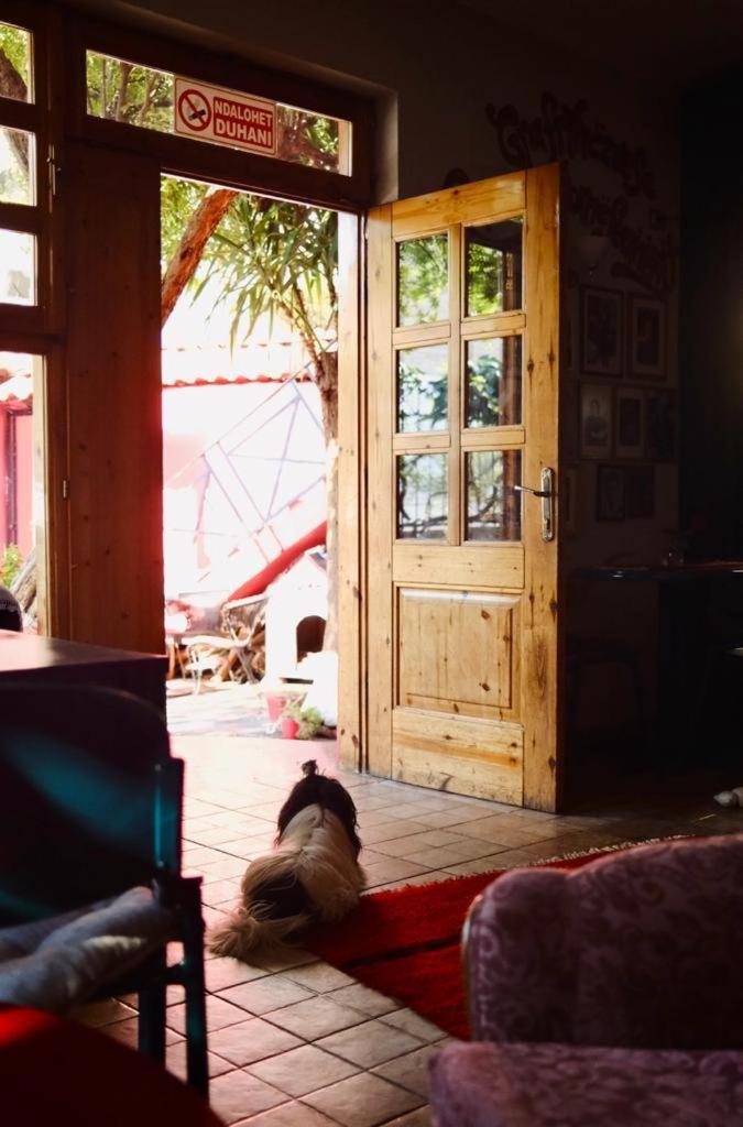 Red Goat Hostel photo 4