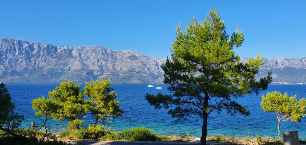 Marija Holiday Home photo 1