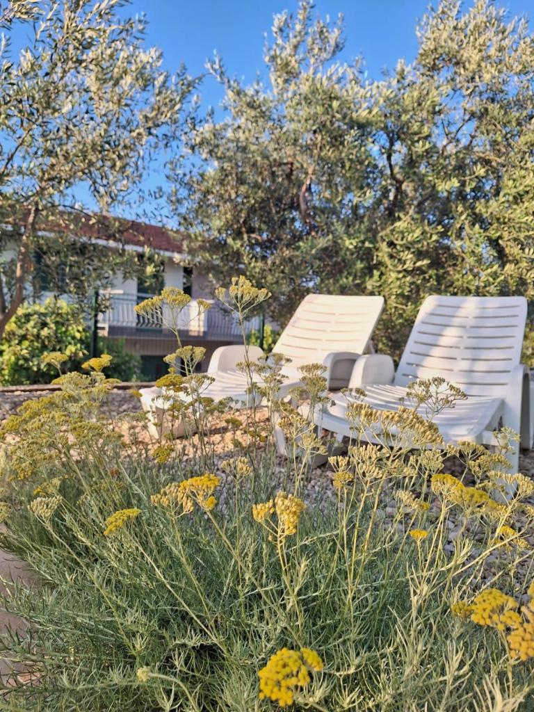 Marija Holiday Home photo 3