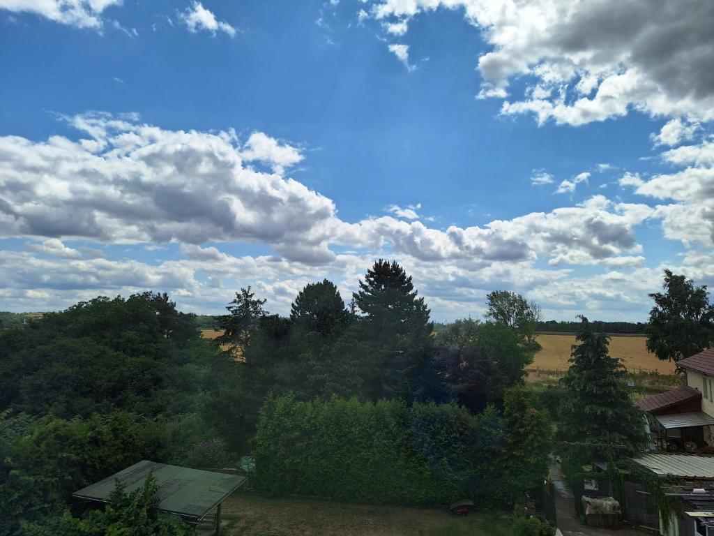 Gaststätte und Pension Zur Schiene photo 4