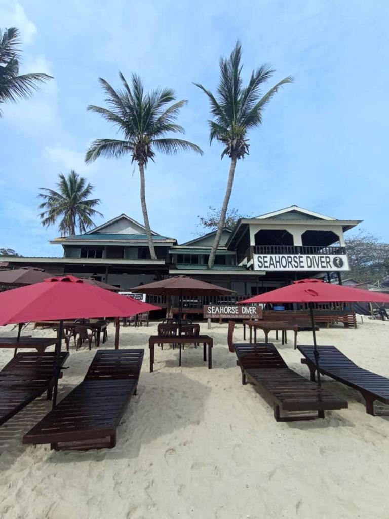 Seahorse Diver Guesthouse
